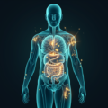 How a 7-Day Fast Transforms Your Body: The Science (2026)