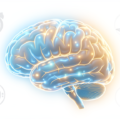Fasting Rewires Your Brain: 2026 Research Findings