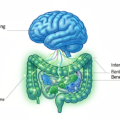 How Fasting Rewires Your Brain: 2026 Science